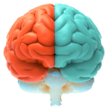 Psychology